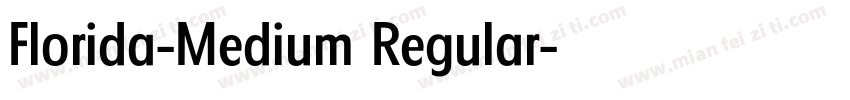 Florida-Medium Regular字体转换